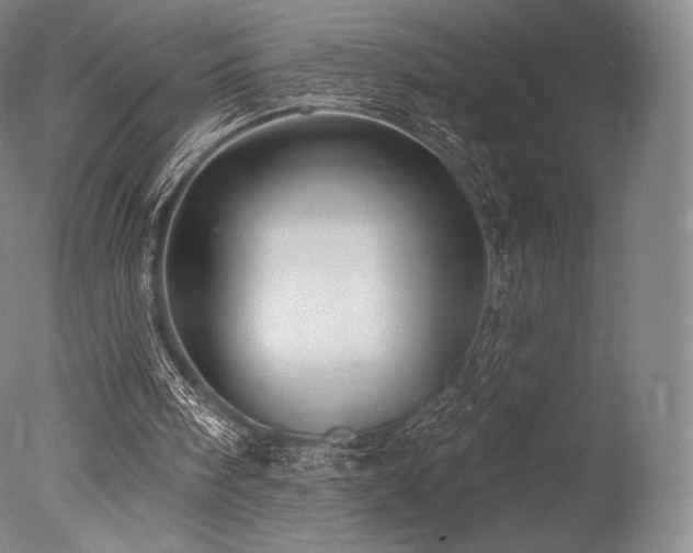 X0000077410098200610201511
