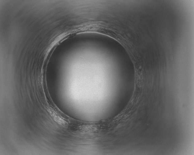 X0000077410100200610201511