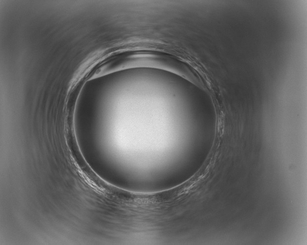 X0000077410101200610201511