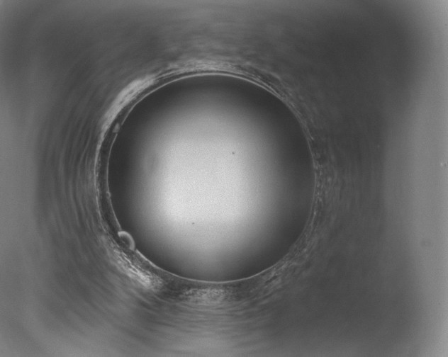 X0000077410104200610201511