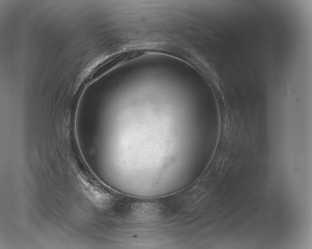 X0000077410107200610201511