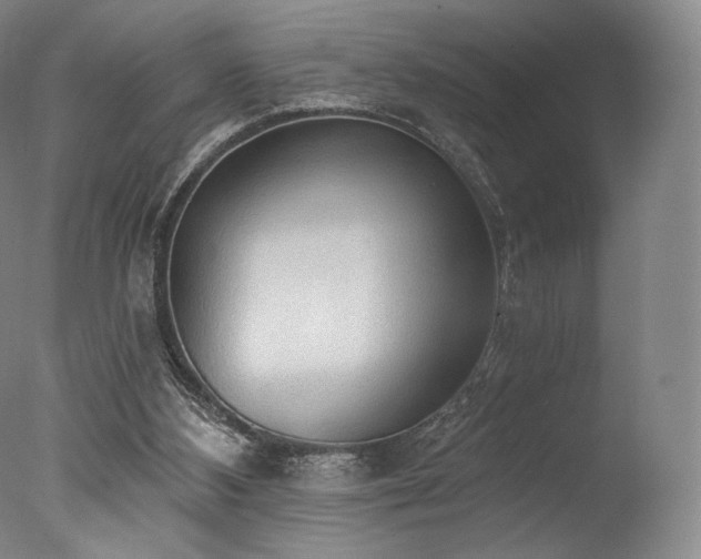 X0000077410108200610201511