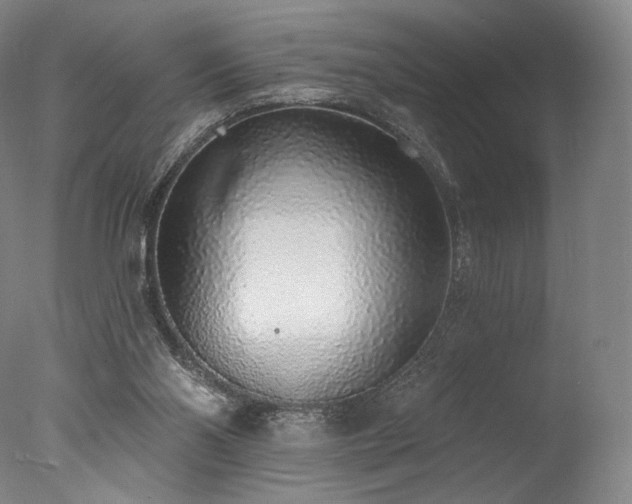 X0000077410110200610201511