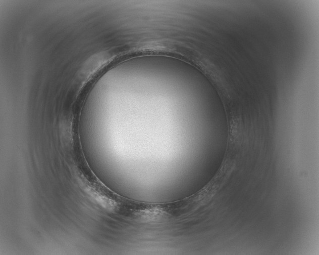 X0000077410112200610201511