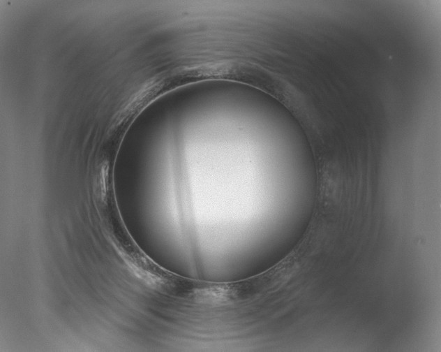 X0000077410118200610201511