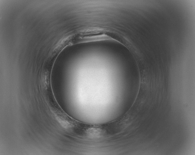 X0000077410119200610201511