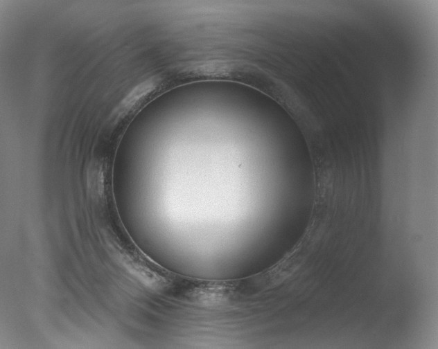 X0000077410120200610201511