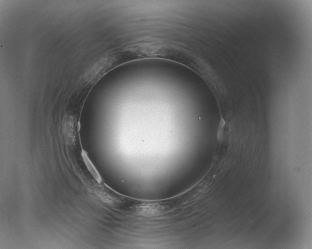 X0000077410121200610201511