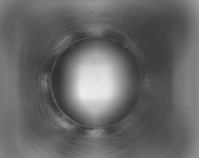 X0000077410122200610201511