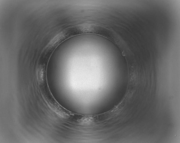 X0000077410124200610201511