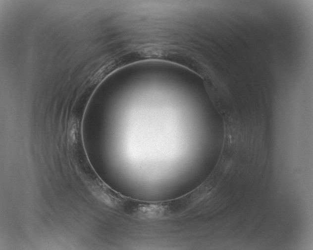 X0000077410125200610201511