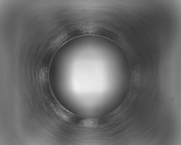 X0000077410126200610201511