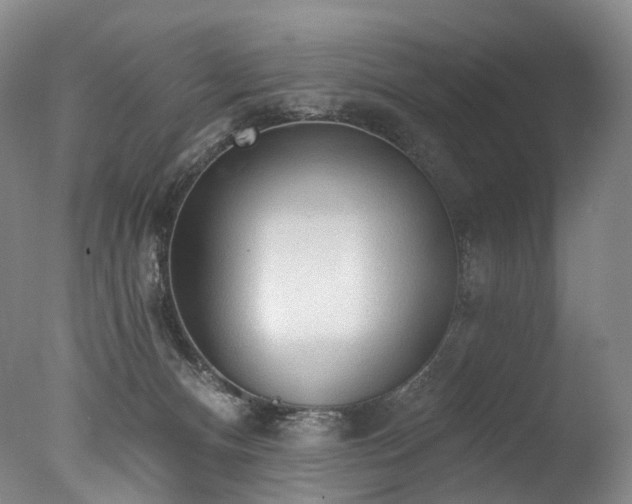 X0000077410128200610201511