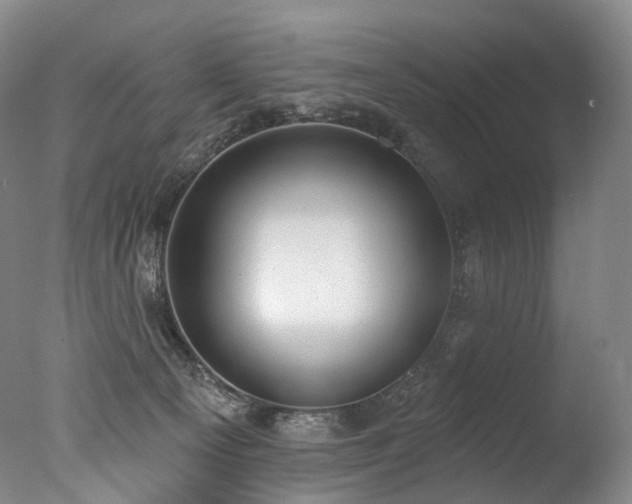 X0000077410129200610201511