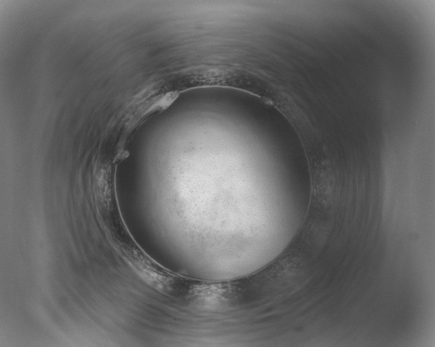 X0000077410131200610201511