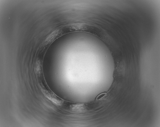 X0000077410132200610201511