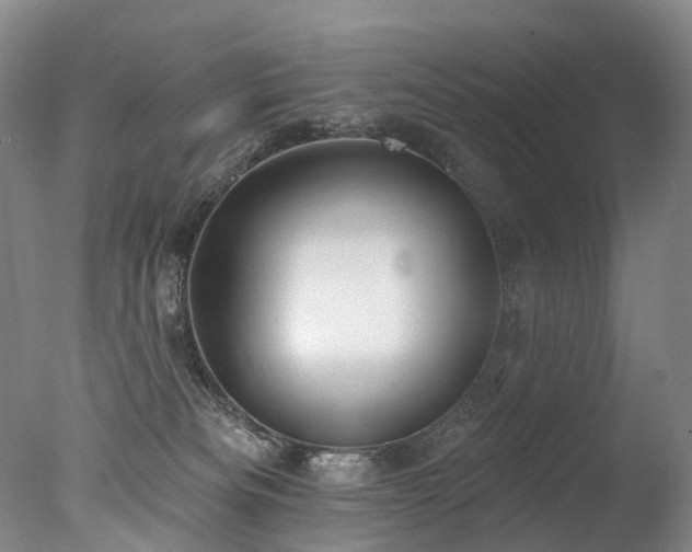 X0000077410133200610201511