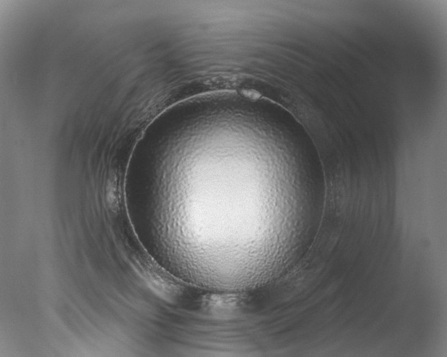 X0000077410134200610201511