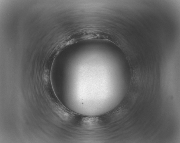 X0000077410135200610201511
