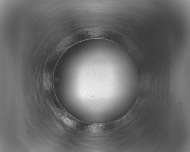 X0000077410136200610201511