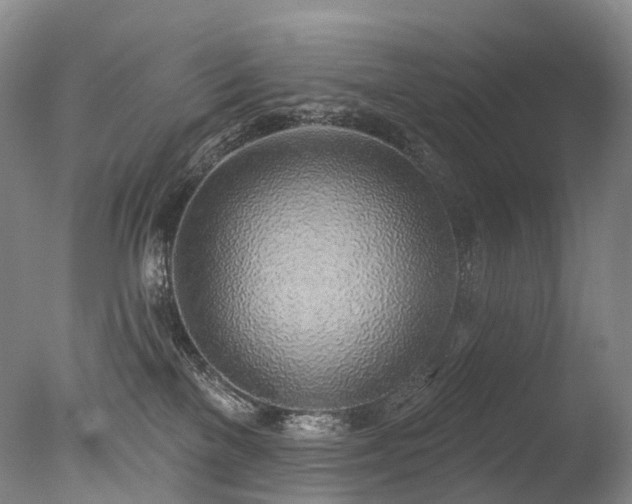 X0000077410137200610201511