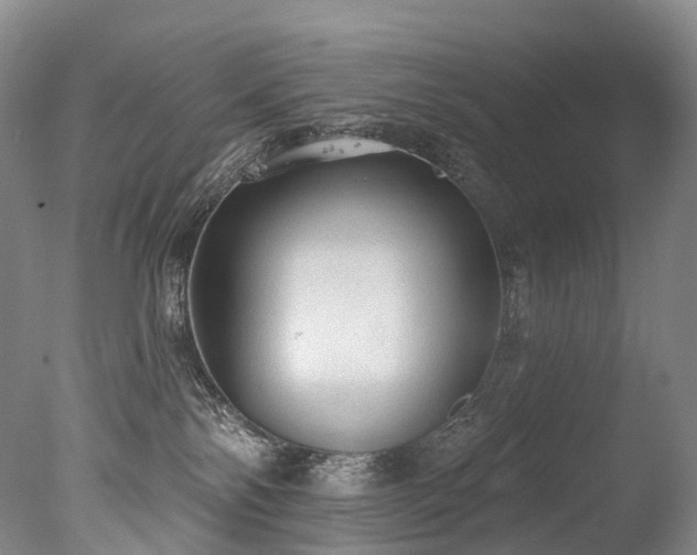 X0000077410138200610201510