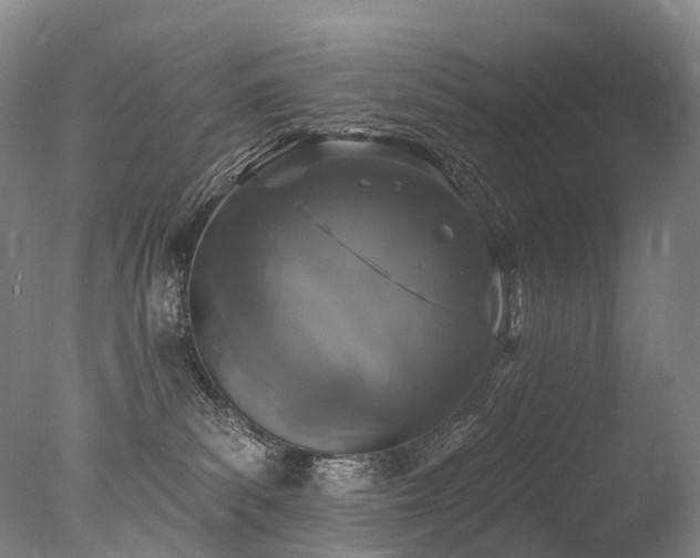 X0000077410139200610201510