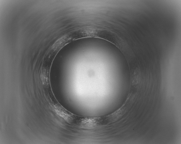 X0000077410140200610201510