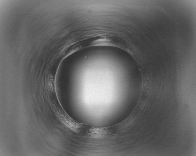 X0000077410141200610201510