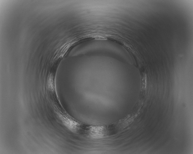 X0000077410143200610201510