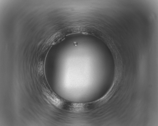 X0000077410144200610201510