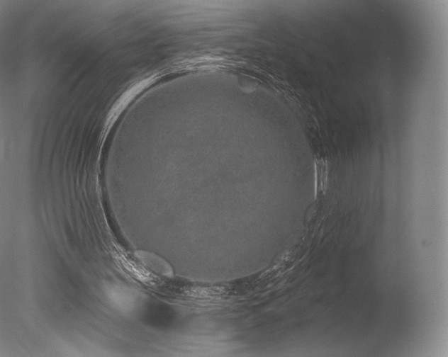 X0000077410147200610201510