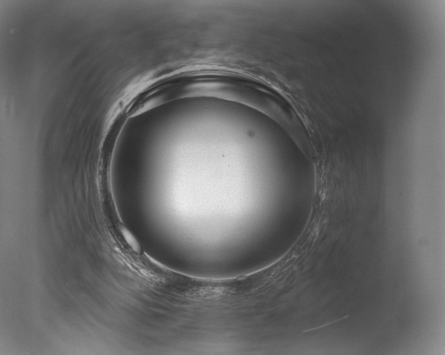 X0000077410152200610201510