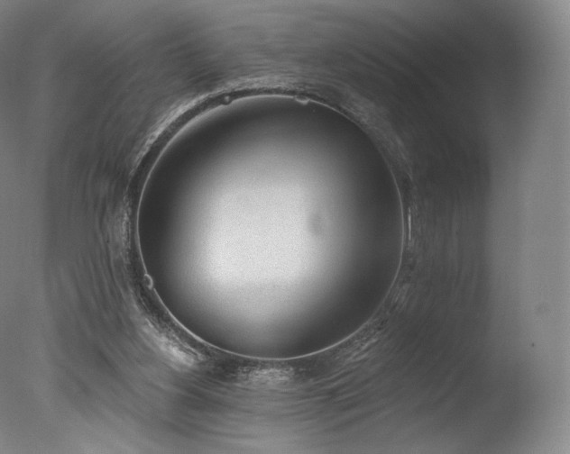 X0000077410156200610201510