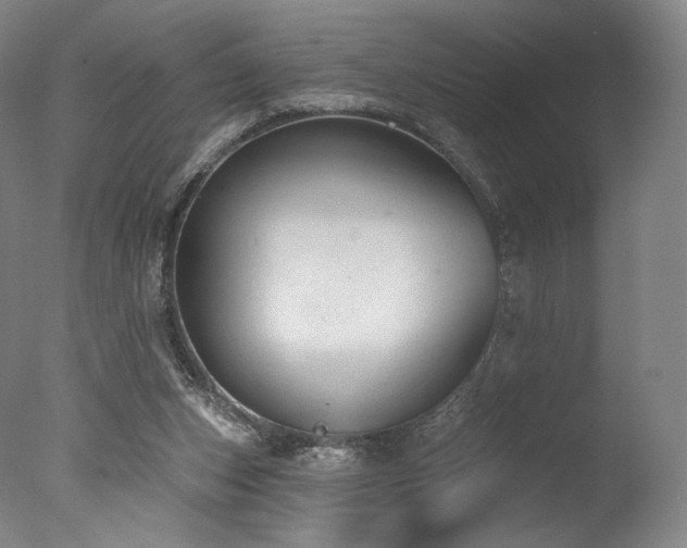 X0000077410159200610201510