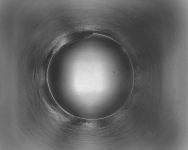 X0000077410164200610201510