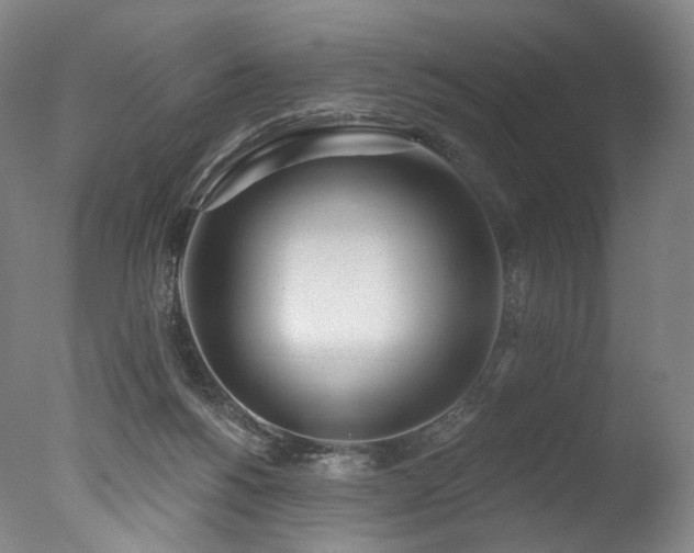 X0000077410168200610201510