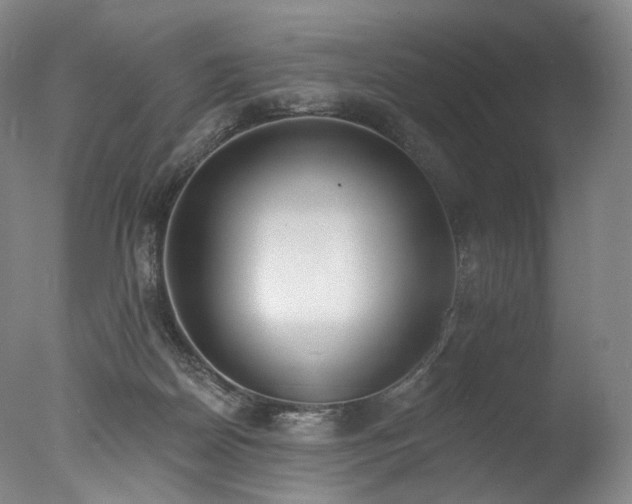 X0000077410170200610201510