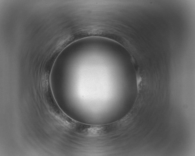 X0000077410172200610201510