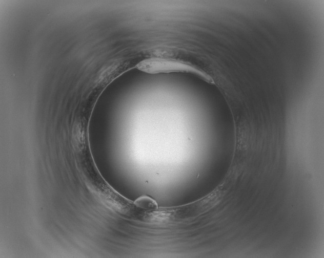 X0000077410176200610201510