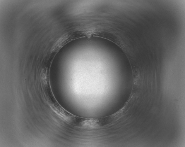 X0000077410179200610201510