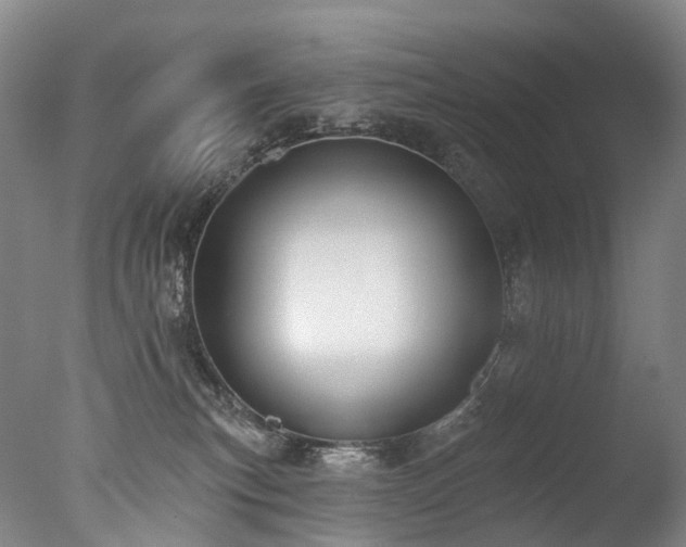X0000077410183200610201510