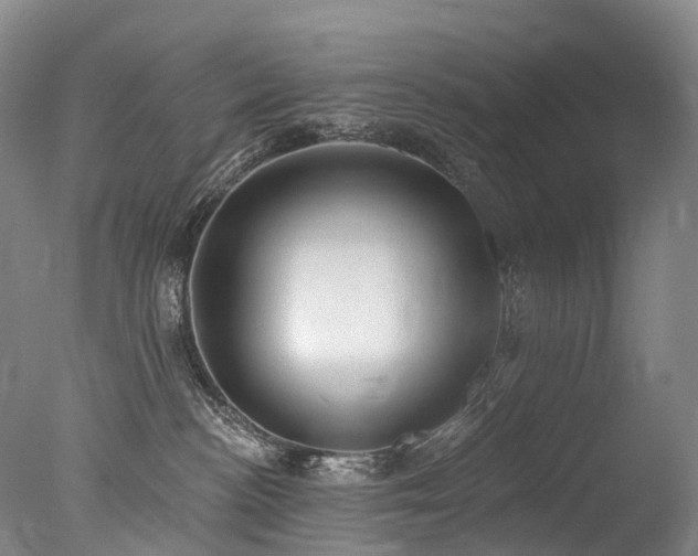 X0000077410188200610201510