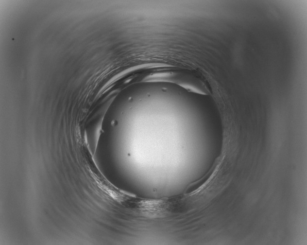 X0000077410192200610201510