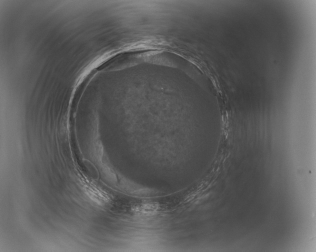 X0000077410196200610201510
