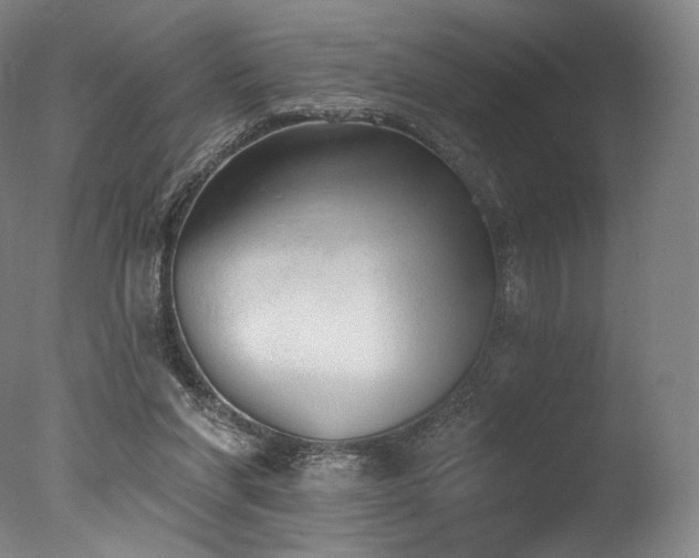 X0000077410206200610201509