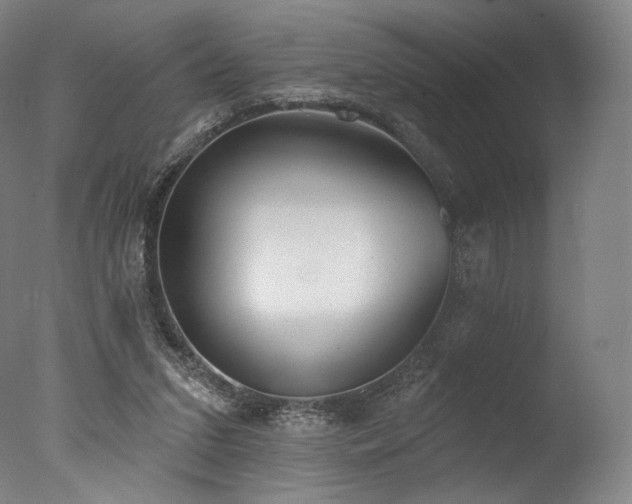 X0000077410207200610201509