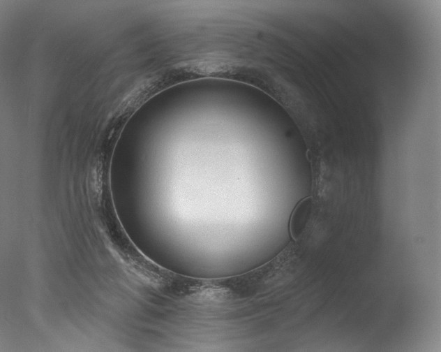 X0000077410210200610201509