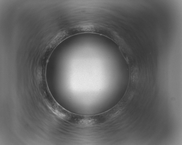 X0000077410213200610201509