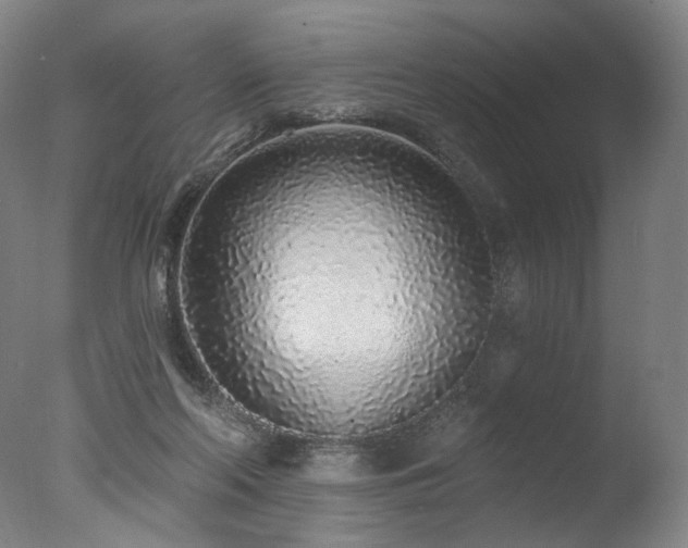 X0000077410214200610201509